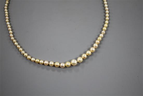 A single strand graduated natural pearl necklace, with old cut diamond cluster set yellow metal clasp.